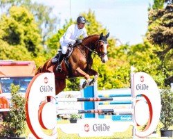 jumper Quinn Hw (Hanoverian, 2018, from Qualito)
