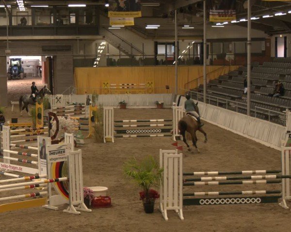 Reitturnier Verden 2024