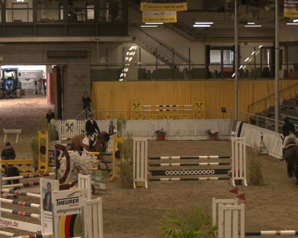 Reitturnier Verden 2024