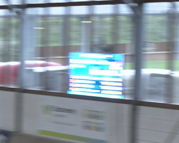 Reitturnier Langenfeld - Gut Langfort 2024
