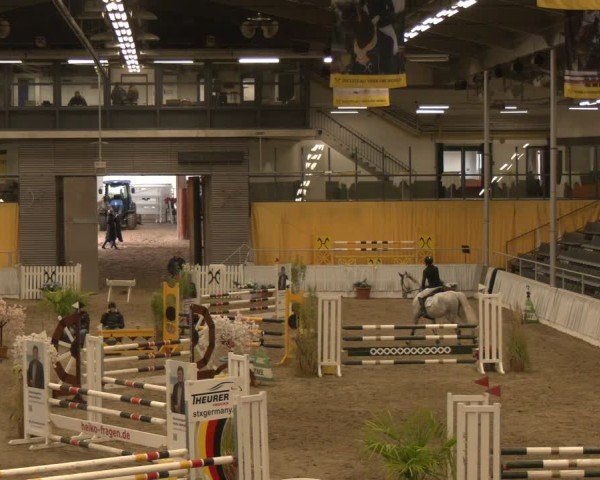 Reitturnier Verden 2024