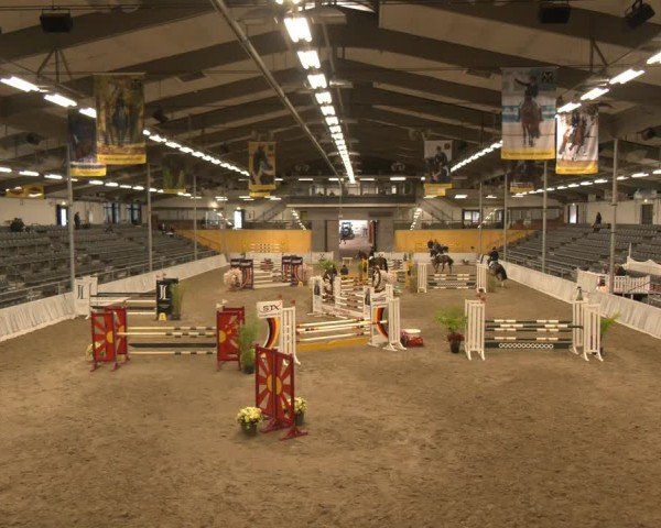 Reitturnier Verden 2024