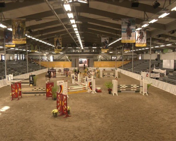 Reitturnier Verden 2024