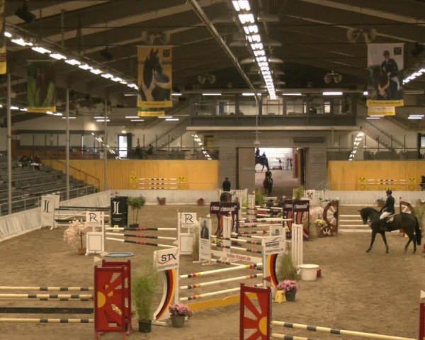 Reitturnier Verden 2024