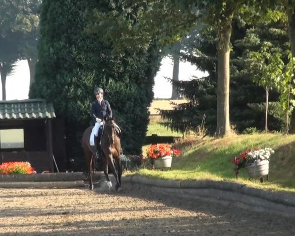 Datteln 2013