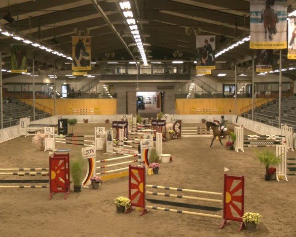 Reitturnier Verden 2024