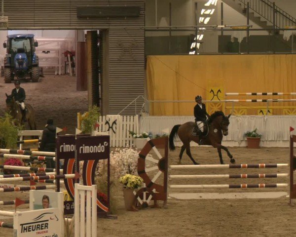 Reitturnier Verden 2024