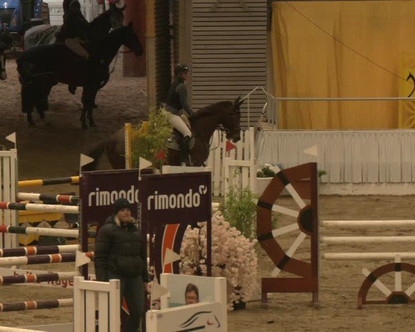 Reitturnier Verden 2024