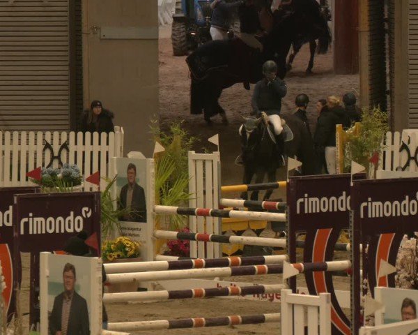 Reitturnier Verden 2024