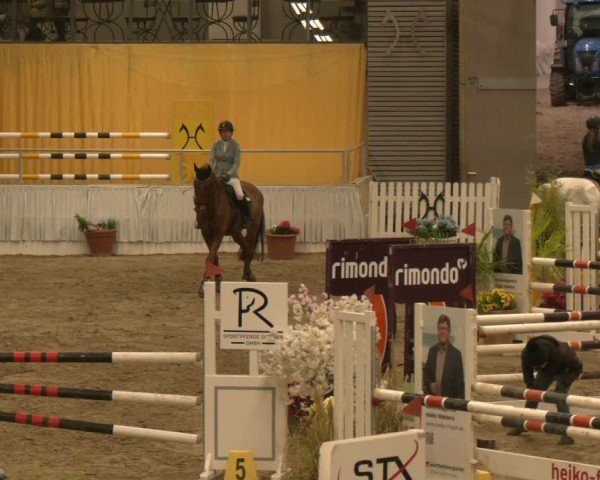 Reitturnier Verden 2024