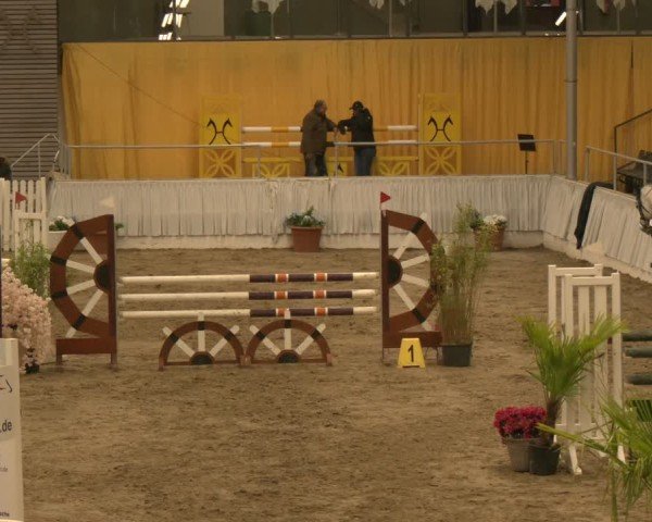 Reitturnier Verden 2024
