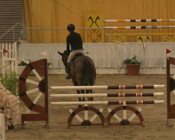 Reitturnier Verden 2024