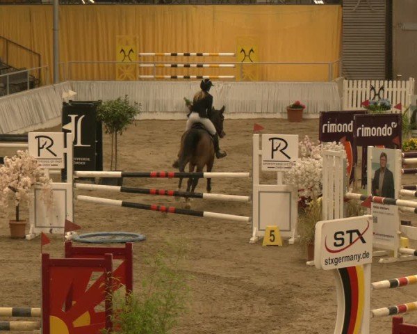 Reitturnier Verden 2024