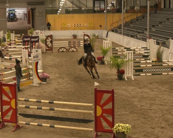 Reitturnier Verden 2024