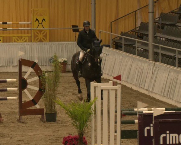 Reitturnier Verden 2024