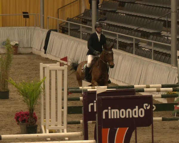 Reitturnier Verden 2024