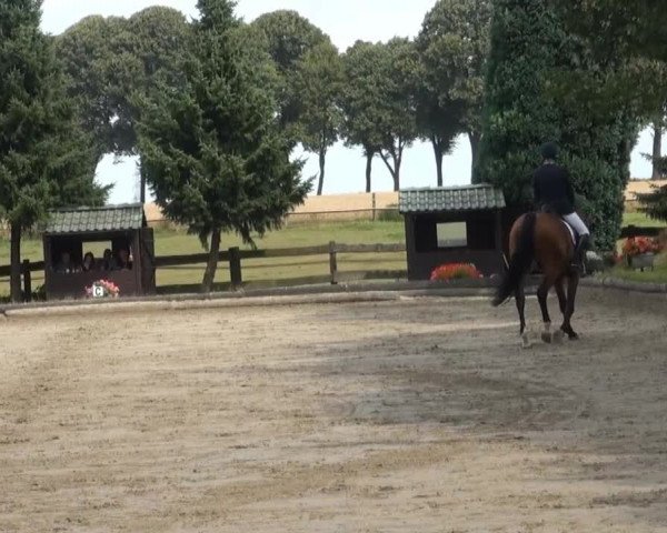 Datteln 2013