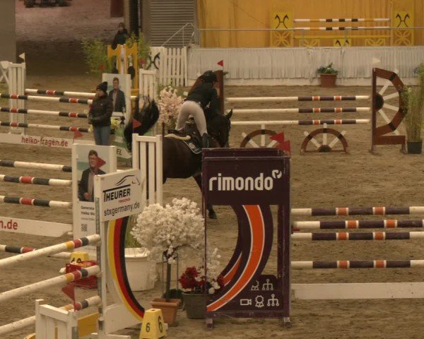 Reitturnier Verden 2024