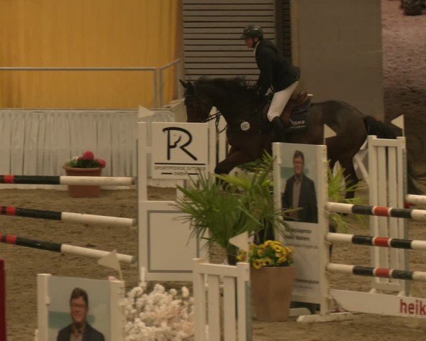 Reitturnier Verden 2024