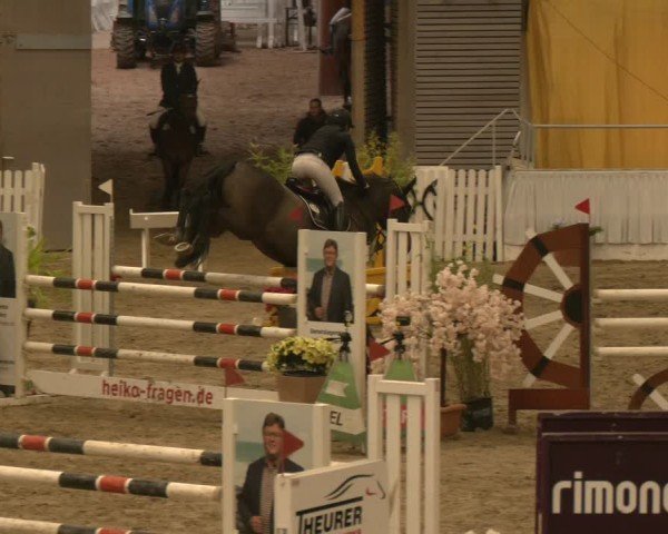 Reitturnier Verden 2024