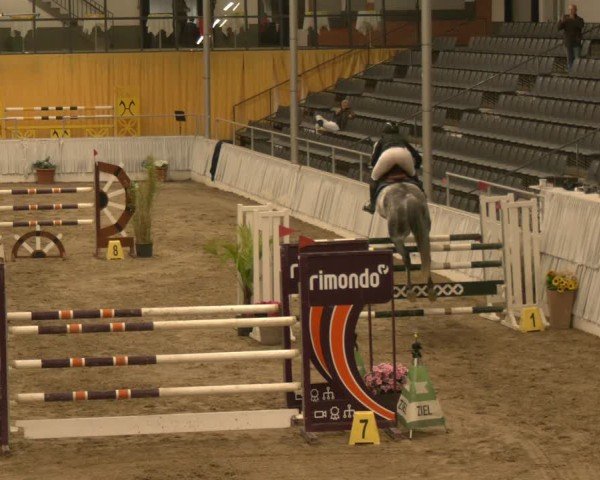 Reitturnier Verden 2024