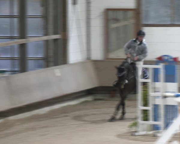 Reitturnier Langenfeld - Gut Langfort 2024