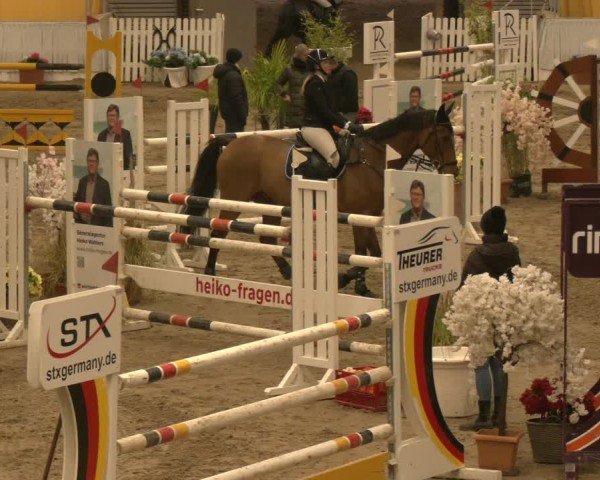 Reitturnier Verden 2024