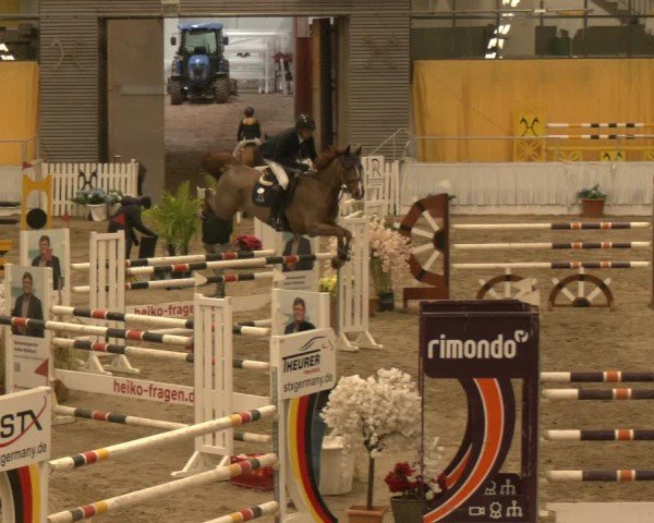 Reitturnier Verden 2024