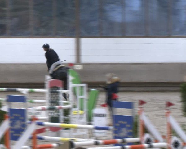 Reitturnier Langenfeld - Gut Langfort 2024