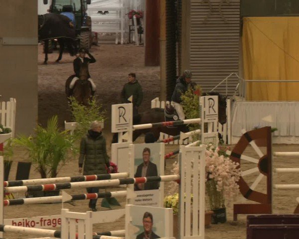 Reitturnier Verden 2024