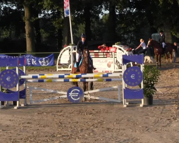Datteln 2013