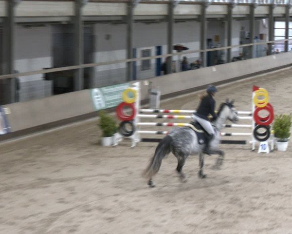 Reitturnier Langenfeld - Gut Langfort 2024