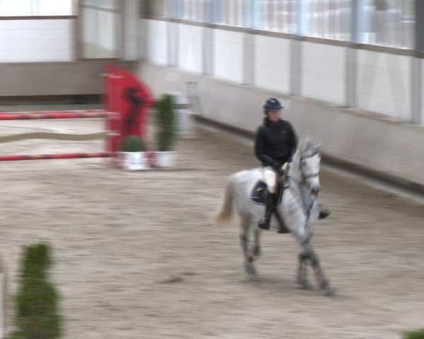 Reitturnier Langenfeld - Gut Langfort 2024