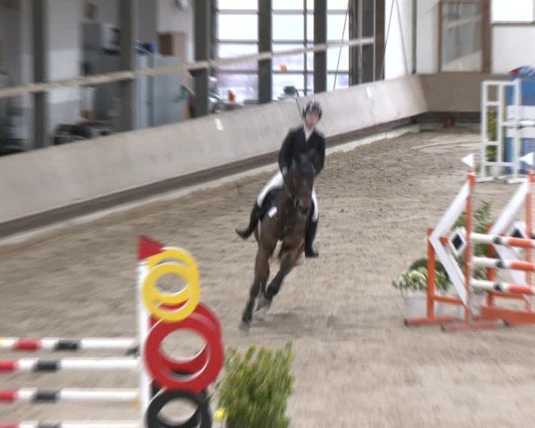 Reitturnier Langenfeld - Gut Langfort 2024