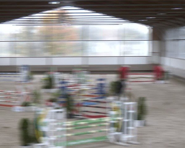 Reitturnier Langenfeld - Gut Langfort 2024