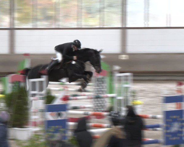 Reitturnier Langenfeld - Gut Langfort 2024