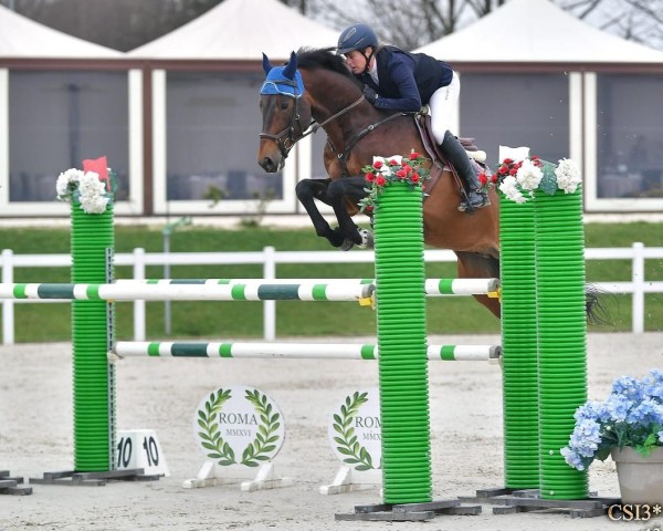 Springpferd Quickly Vom Eigen CH (Schweizer Warmblut, 2017, von Quickly de Kreisker)