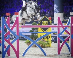 Springpferd Kiss Me Fabulesse (KWPN (Niederländisches Warmblut), 2015, von Scuderia 1918 Casago)