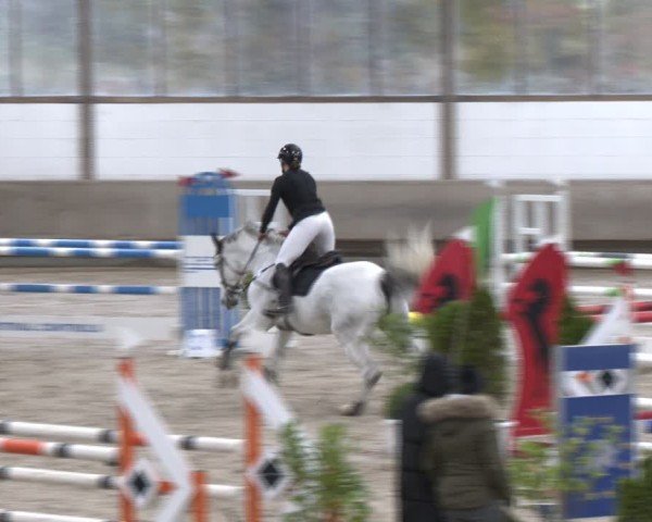 Reitturnier Langenfeld - Gut Langfort 2024