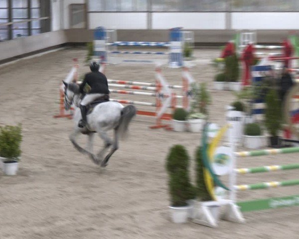 Reitturnier Langenfeld - Gut Langfort 2024
