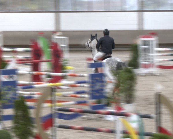 Reitturnier Langenfeld - Gut Langfort 2024