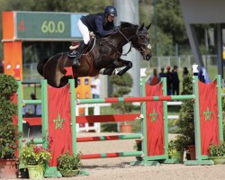 jumper Carusa Vom Eigen (Swiss Warmblood, 2016, from Cornet Obolensky)