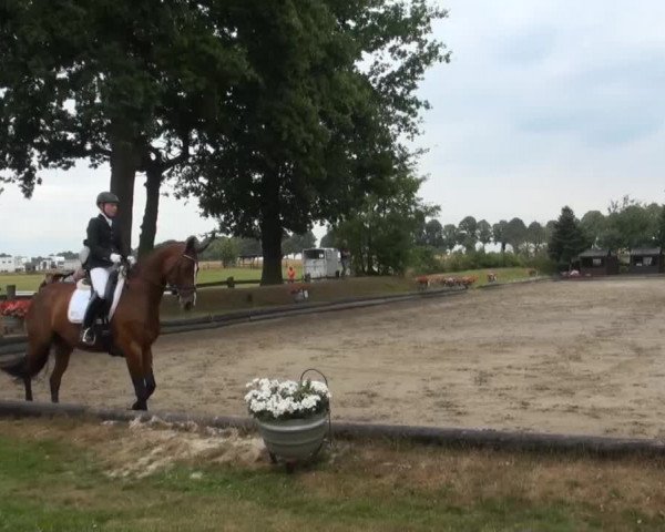 Datteln 2013