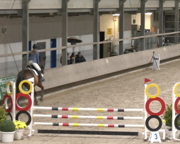 Reitturnier Langenfeld - Gut Langfort 2024