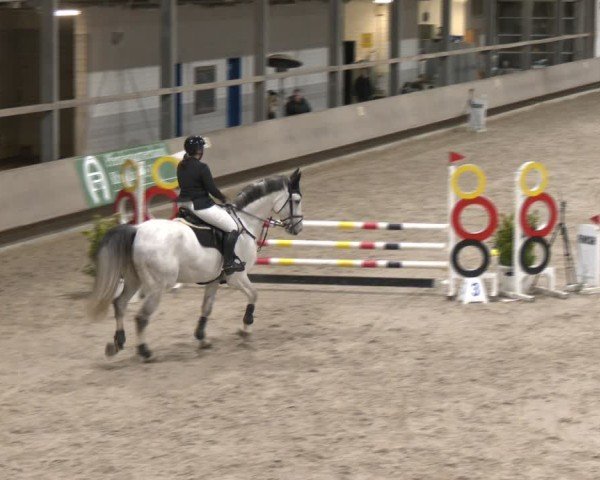 Reitturnier Langenfeld - Gut Langfort 2024