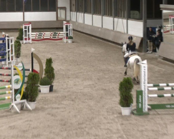 Reitturnier Langenfeld - Gut Langfort 2024