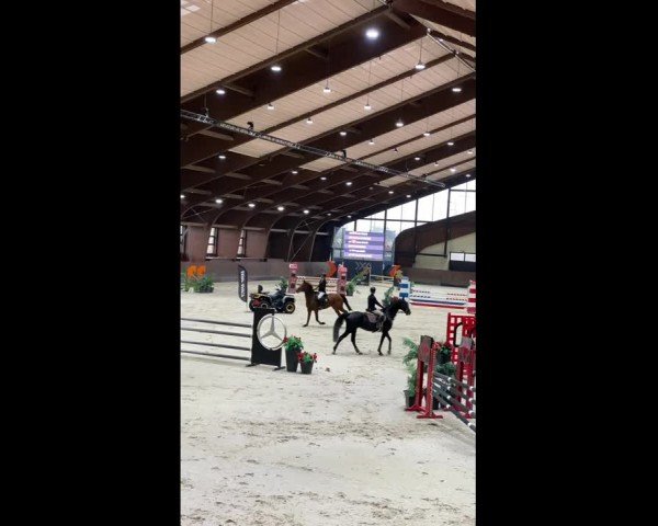 FEI Reitturnier Samorin (SVK) 2024