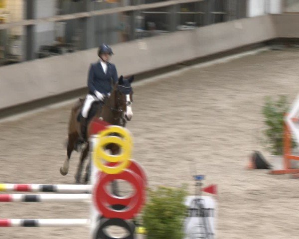 Reitturnier Langenfeld - Gut Langfort 2024