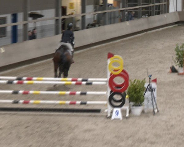 Reitturnier Langenfeld - Gut Langfort 2024