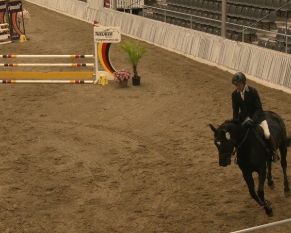 Reitturnier Verden 2024